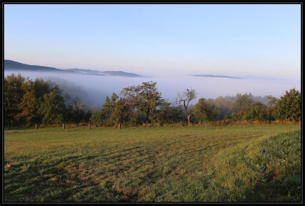 Swiety Spokoj Palesnica Exterior foto